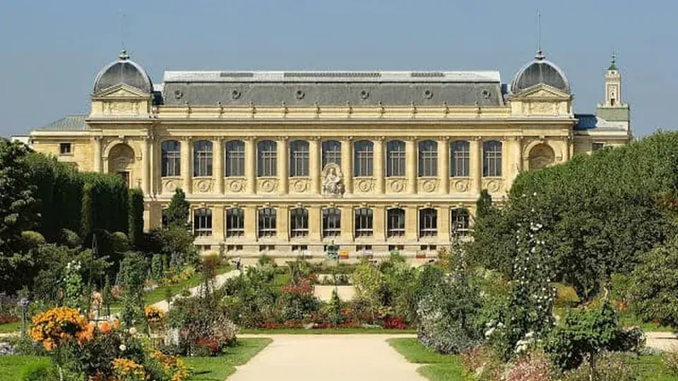 Uma mulher chinesa de 24 anos foi indiciada por roubo de pepitas de ouro do Museu Nacional de História Natural de Paris.