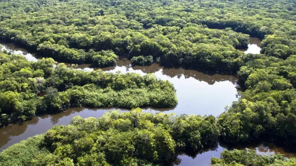Dados do Inpe mostram que desmatamento na Amazônia e Cerrado segue em queda, com impactos positivos para o meio ambiente.