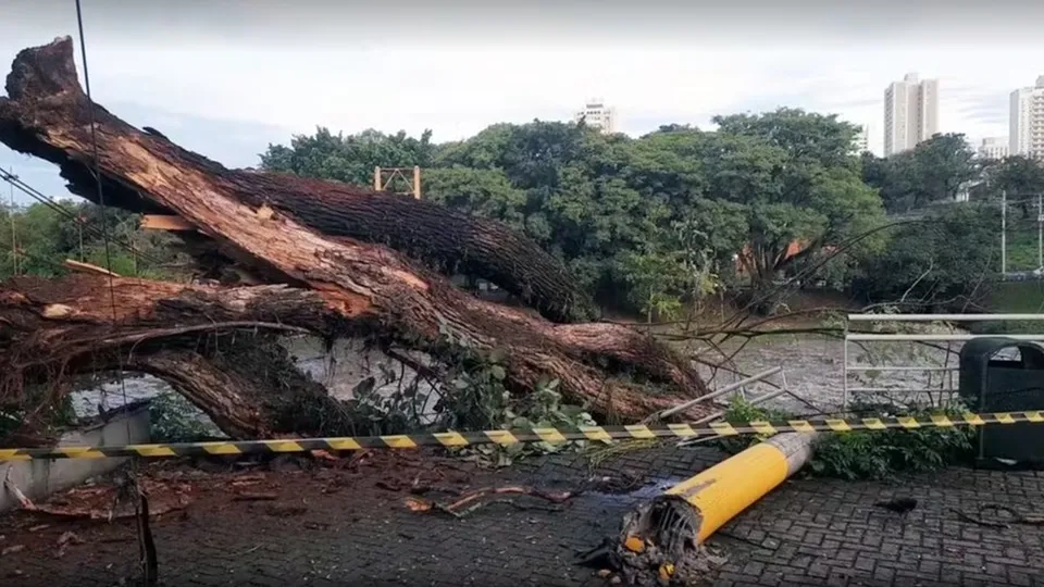 O órgão recomenda atenção redobrada devido à previsão de chuvas fortes e ventos em todo o estado paulista.