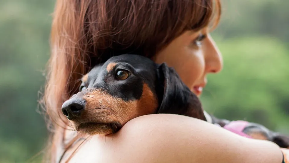 Podcast da psicoterapeuta Renata Roma mostra como os vínculos com animais influenciam o bem-estar e ajudam a lidar com o luto e a ansiedade.