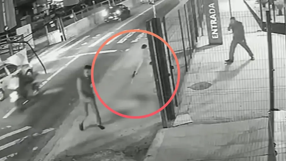 Cachorro Caramelo &eacute; baleado dez vezes em S&atilde;o Paulo ap&oacute;s confus&atilde;o em shopping