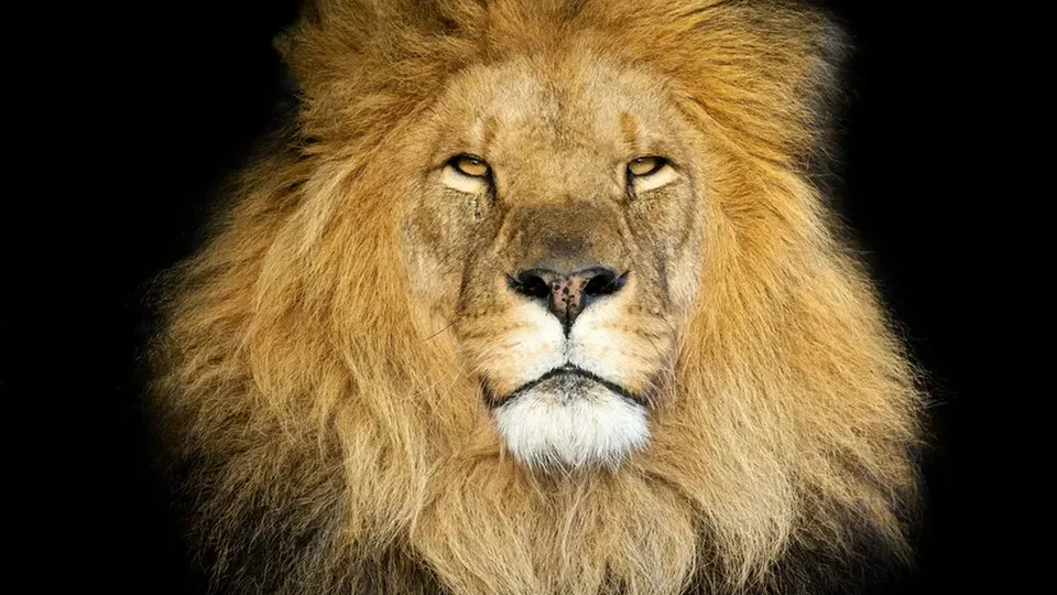 Expectativa &eacute; que 44 milh&otilde;es de contribuintes apresentem declara&ccedil;&otilde;es at&eacute; 29 de maio de 2026