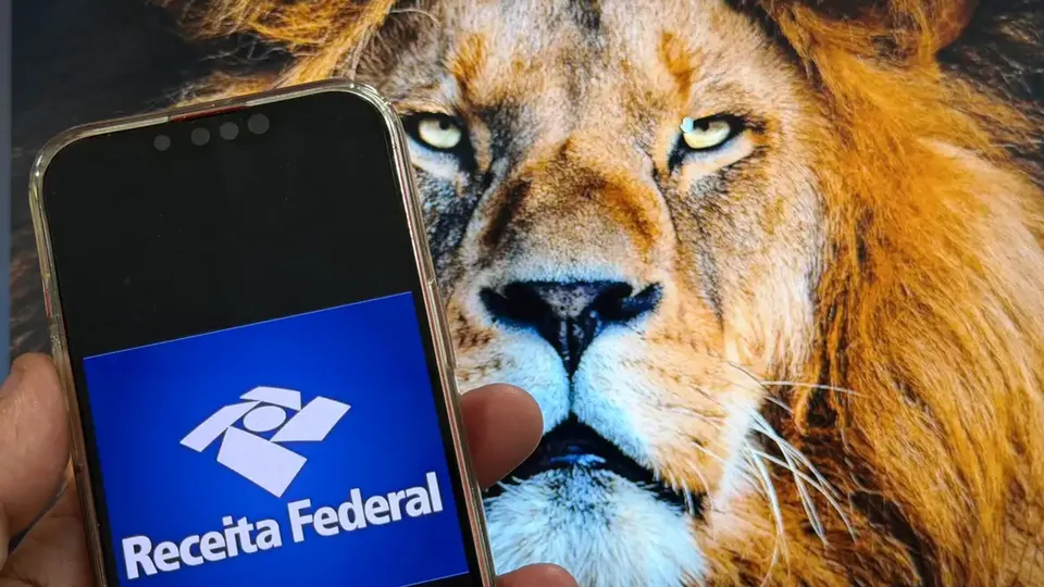 Contribuintes enfrentam dificuldades para acessar o sistema e enviar declara&ccedil;&otilde;es devido a instabilidades.