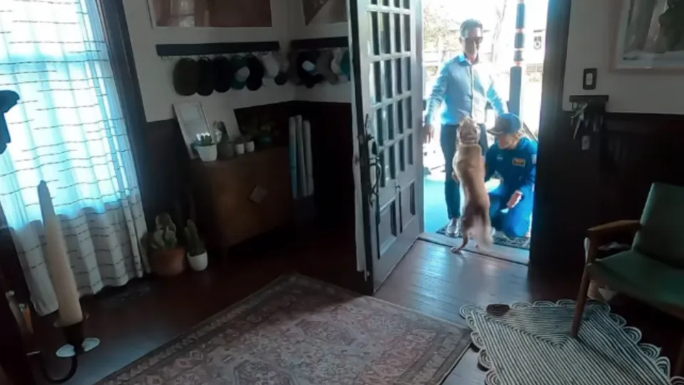 Emocionante reencontro de Koch com sua cadela Sadie &eacute; compartilhado nas redes sociais