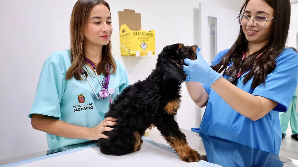 Unidade em S&atilde;o Miguel Paulista amplia servi&ccedil;o gratuito para c&atilde;es e gatos de fam&iacute;lias de baixa renda; rede somou 935 mil atendimentos desde 2021.